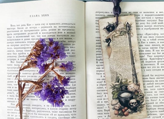 Вот π в степени √(2